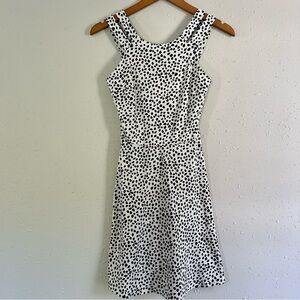 🦋 IZ Byer Black White Halter Neck Fit and Flare Mini Dress Small